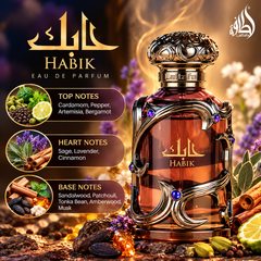 Habik for Men Eau de Parfum 100ml by Lattafa