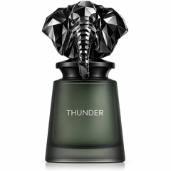 Thunder Eau De Parfum 100ml By French Avenue