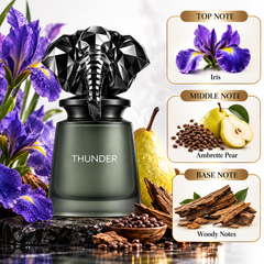 Thunder Eau De Parfum 100ml By French Avenue